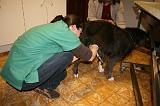 INSEMINATION ARTIFICIELLE 002